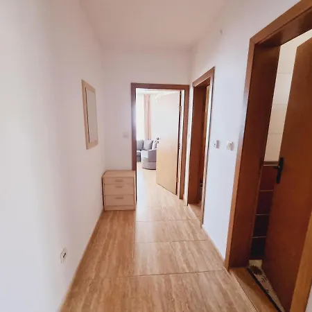 Complex * Szveti Vlasz